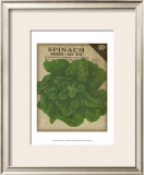 Heirloom Variety VI Prints by Jarman Fagalde