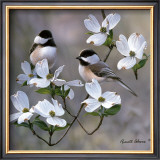 Chickadee Posters by Russ Cobane