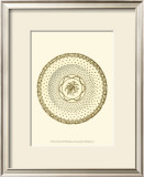 Sevres Porcelain VIII Posters by Garnier 