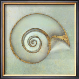 Neptune's Garden I Prints by Bert Meyers