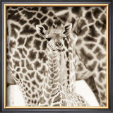 Precious Moments II Prints by Susann & Frank Parker