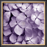 Bunch of Flowers IV Prints by Tony Koukos