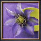 Clematis and Bowl Prints by Catherine Beyler