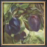 Prunes Posters by Clauva 