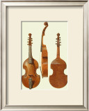 Antique Violas II Prints by William Gibb