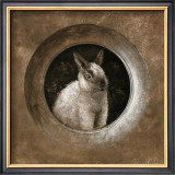 The Rabbit Prints by Pascal Cessou