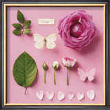 Rose and two butterflies Prints by Louis Gaillard