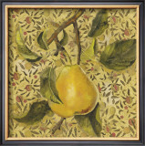 Fruit Panel II Prints by Kris 