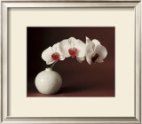 Orchid and white vase Prints by Florence Rouquette