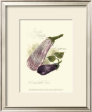 Aubergine Eggplant Prints by Elissa Della-piana