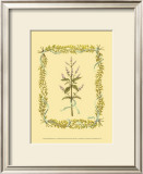 Peppermint Prints by Wendy Russell