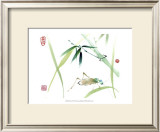 Cricket Prints by Nan Rae