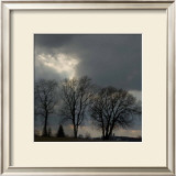 Skyline Light III Pôsteres por Rick Schimidt