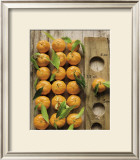 Clementine Prints by Federic Vasseur