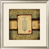 The Concertina Print by Martin Wiscombe
