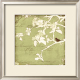 Song Birds I Prints by Amy Melious