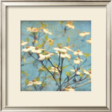 Dogwood I Art by Amy Melious