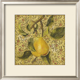 Fruit Panel II Posters by Kris 