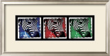 Pop Zebra Prints by Susann & Frank Parker