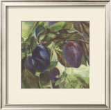 Prunes Prints by Clauva 