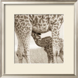 Precious Moments III Prints by Susann & Frank Parker