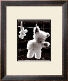 Teddy Bear Drying Posters by U. Dresing