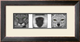 Tri-Color Vision Prints by Susann & Frank Parker