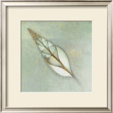 Neptune's Garden II Prints by Bert Meyers