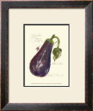 Eggplant Solanum Melongena Art by Elissa Della-piana