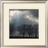 Skyline Light II Prints by Rick Schimidt