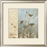 Delicate Fields I Prints by Conrad Knutsen