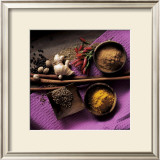 Cinnamon, Coriander, Ginger Prints by Michael Boyny