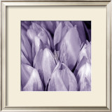 Bunch of Flowers II Prints by Tony Koukos