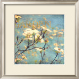 Dogwood II Posters by Amy Melious