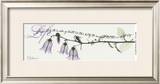 Life: Campanula Prints by Albert Koetsier