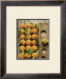 Clementine Print by Federic Vasseur