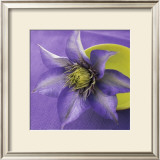 Clematis and Bowl Print by Catherine Beyler