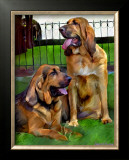 Bloodhounds Prints by Robert Mcclintock