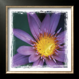 Flower Power IV Prints by Susann & Frank Parker