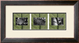 Harmony II Print by Susann & Frank Parker