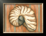 Shell on Stripes IV Prints by Laura Nathan