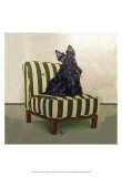 Scottie on Stripes Affiche par Carol Dillon