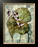 Amazonia II Poster by Amore 