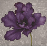 Black Plum II Affiches par Ariane Martine