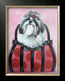 Shih-tzu Purse Poster by Carol Dillon