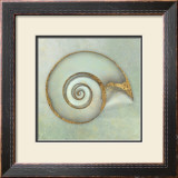 Neptune's Garden I Prints by Bert Meyers