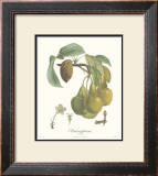 Pears, Frangipane Posters by Francois Langlois