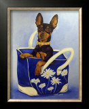 Min Pin To Go Prints by Carol Dillon