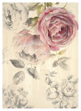 Ethereal Roses I Láminas por Stefania Ferri