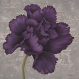 Black Plum I Affiche par Ariane Martine